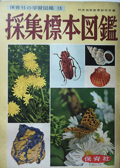 児童書・絵本（特に昔のもの）